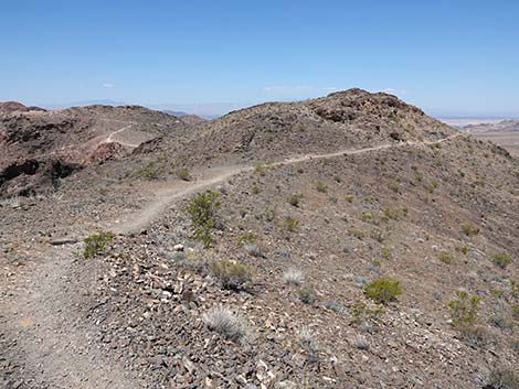 Black Mountain Overlook Trail