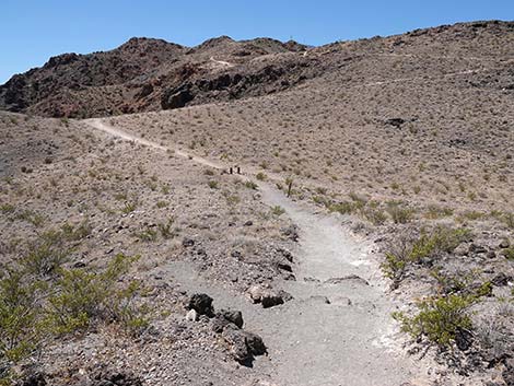 Black Mountain Overlook Trail