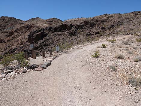 Black Mountain Overlook Trail