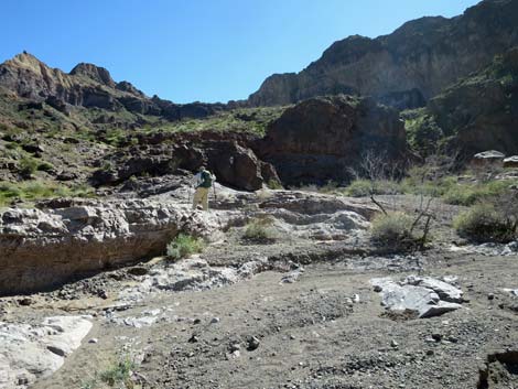 Boy Scout Canyon