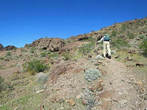 Colorado River Overlook