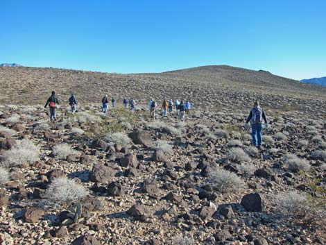 Callville Ridge Route