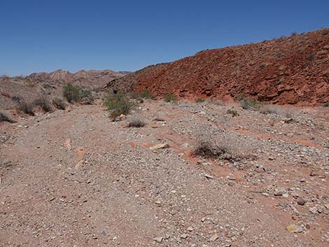 Cottonwood Wash