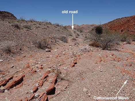 Cottonwood Wash