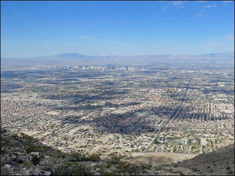 Frenchman Mountain