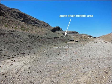 Frenchman Mountain Trilobite Quarry