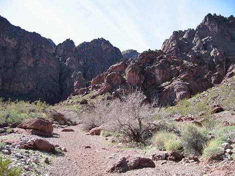 Goldstrike Hot Springs