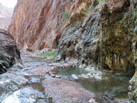 Goldstrike Hot Springs