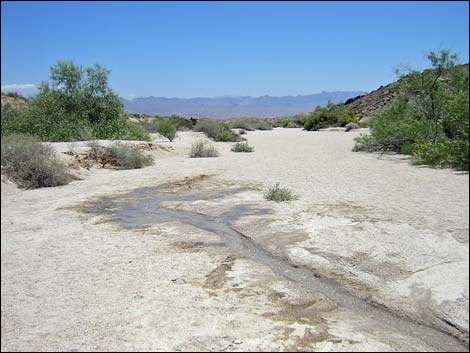 Grapevine Canyon