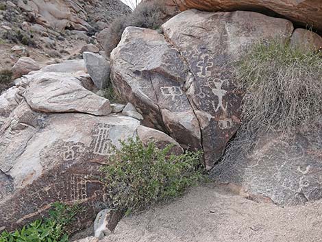 Grapevine Canyon Petroglyphs