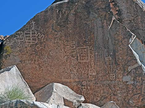 Grapevine Canyon Petroglyphs