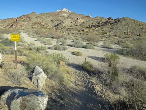 Grapevine Canyon