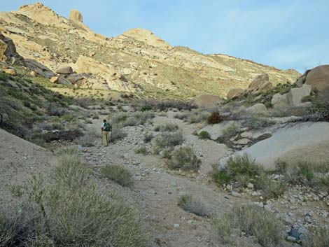 Grapevine Canyon