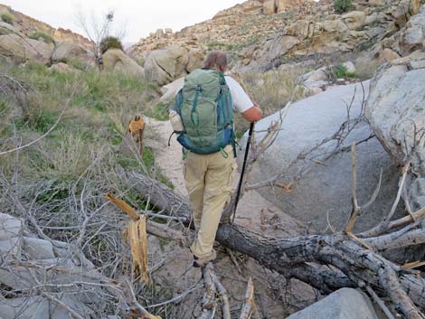 Grapevine Canyon