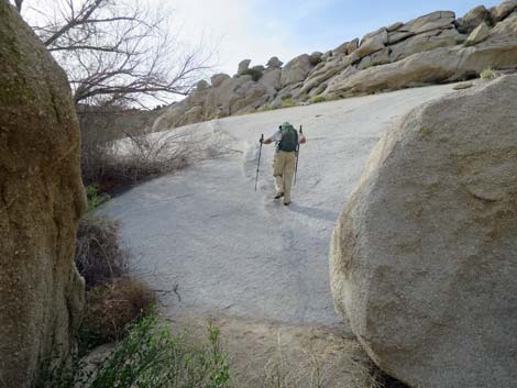 Grapevine Canyon