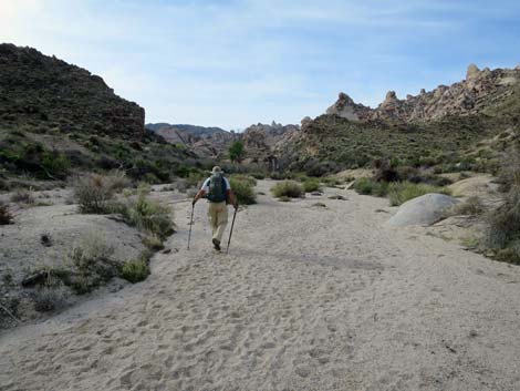 Grapevine Canyon