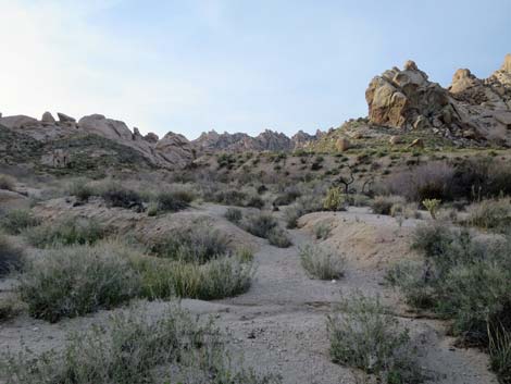 Grapevine Canyon