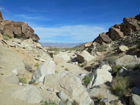 Grapevine Canyon