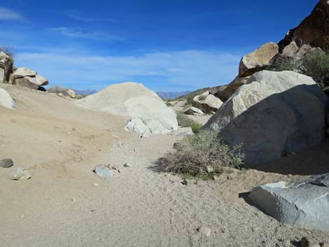 Grapevine Canyon