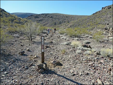 Lonesome Wash Overlook