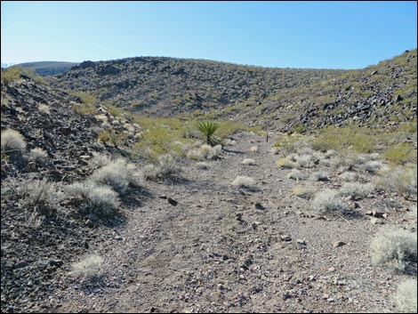 Lonesome Wash Overlook