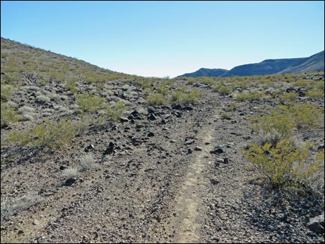 Lonesome Wash Overlook