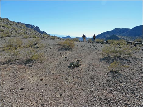 Lonesome Wash Overlook