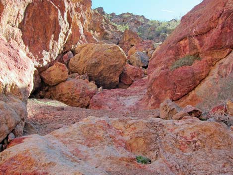 Many Falls Canyon