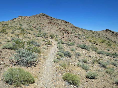 Northshore Summit Trail