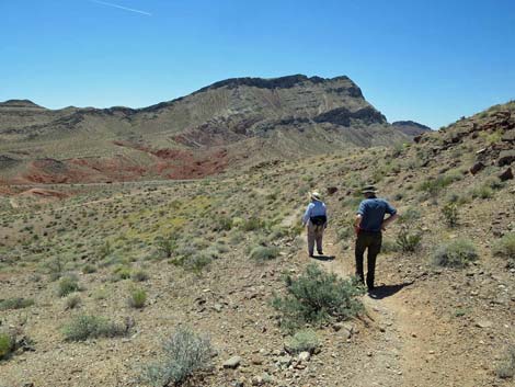 Northshore Summit Trail