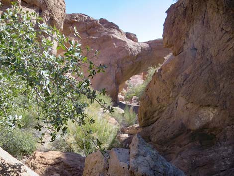 Natural Bridge