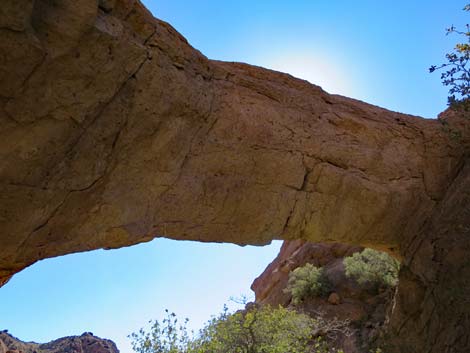 Natural Bridge