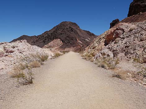 Railroad Tunnels Trail