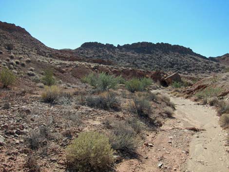 Razorback Wash North Route