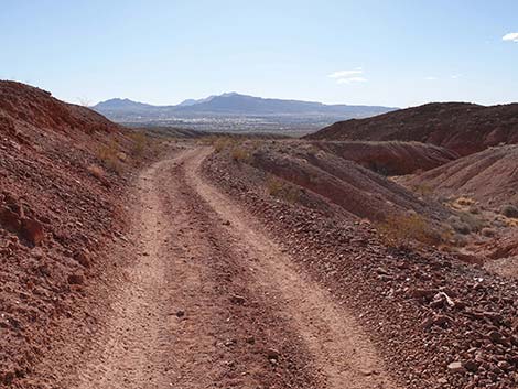 Red Needle Trail