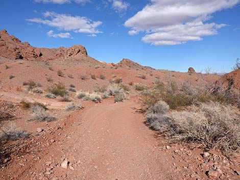 Red Needle Trail