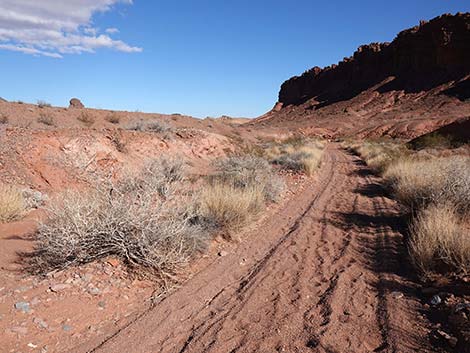 Red Needle Trail