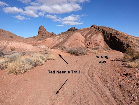 Red Needle Trail