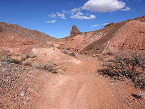 Red Needle Trail