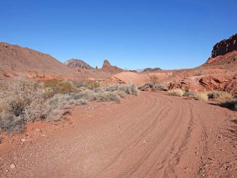 Red Needle Trail