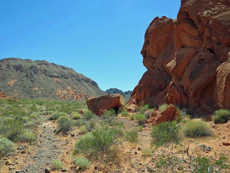 Redstone Dune Loop Trail