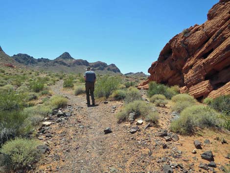 Redstone Dune Loop Trail