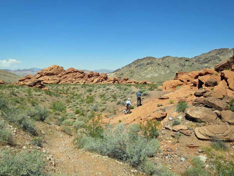 Redstone Dune Loop Trail