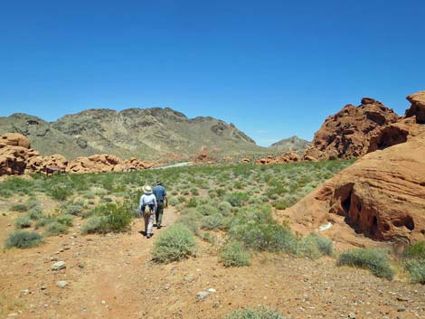 Redstone Dune Loop Trail