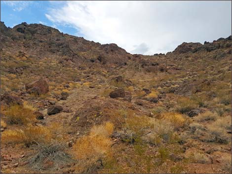 Black Canyon Overlook Road