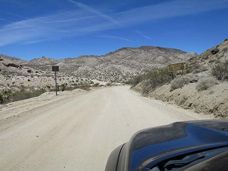 Christmas Tree Pass Road