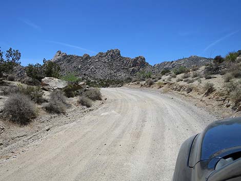 Christmas Tree Pass Road