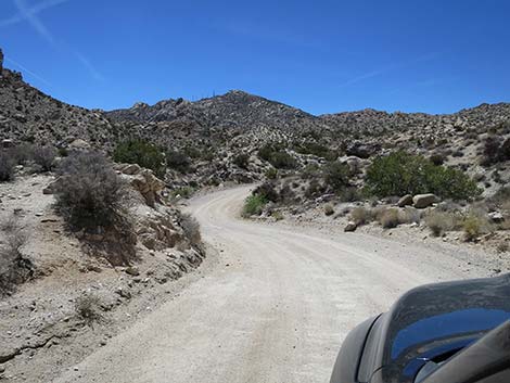 Christmas Tree Pass Road