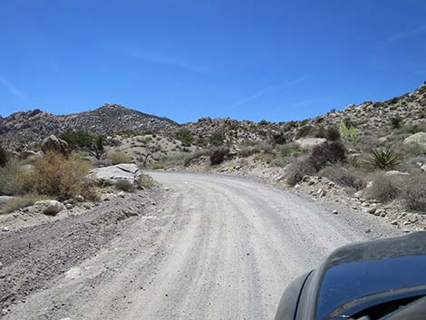 Christmas Tree Pass Road