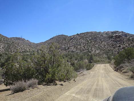 Christmas Tree Pass Road